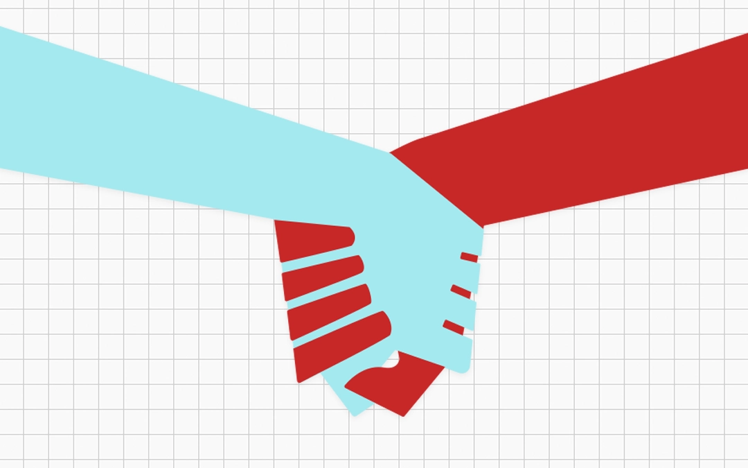 Immagine - softCodex Partner IT in Ticino